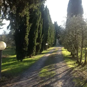 Homestay Sunshine 